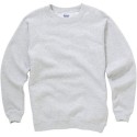 Softstyle Sweatshirt 